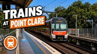 Trains at Point Clare 🚆 | Featuring a V-Set Tour