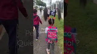 Quieren tutor&iacute;al del peinado loco ?
