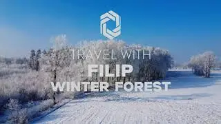 Winter in Poland from Above | Cinematic Drone Forests & Fog
