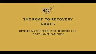 R2RW3 Day2 PM