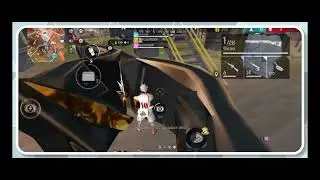 FLCN PEENA - 17 Elims