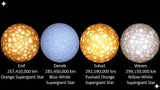 ~Star Size Comparison (2025)✨~