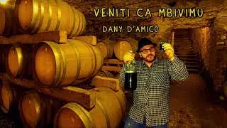 Dany D'Amico - Veniti ca mbivimu (ufficiale 2024) #danydamico #tarantellacalabrese #calabria