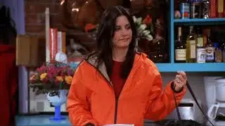 FRIENDS // S7E18 // Oily t-zone