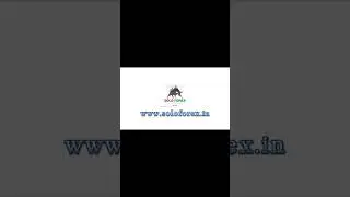 visit Fast #forexcourse #tradingclass #sharemarketclasd
