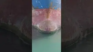 BBC GANGES 143 m 23 m Cargo