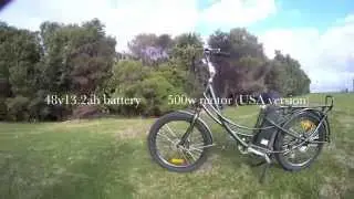 PEDEGO STRETCH  Electric Cargo Bike