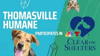 Clear The Shelter at Thomasville Humane