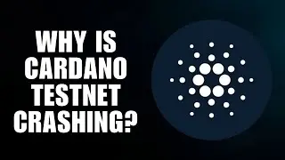 Why is Cardano Testnet Crashing? | Explained