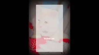bulini ami tumar muker hasi🥺