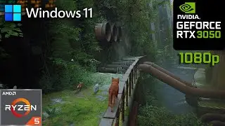 Stray I RTX 3050 Laptop I Windows 11 ( High-Medium Settings )