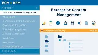 What Does Laserfiche Do?