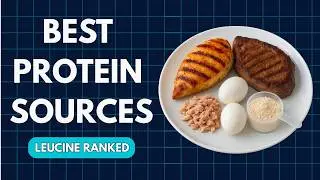 Top Protein Sources for Muscle Growth (Leucine Ranked)
