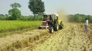 Chopper paddy Reaper