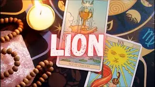 LION n'est pas perdu, cette pause lui a fait comprendre que vous &ecirc;tes un joyau💝Recontact imminent💌