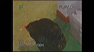 Hen.mp4
