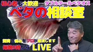 【創業40周年】ベタの何でも相談室　2026年1月28日