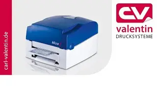 Micra II - Statusdruck