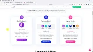 Divi Black Friday 2023 Sale Explained