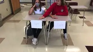 Brain Lateralization demonstration