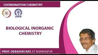 Biological Inorganic Chemistry