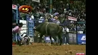 Dillinger bucks Chris Shivers - 02 PBR Albuquerque