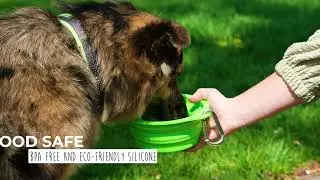 Mighty Paw Collapsible Travel Dog Bowl Set - Ready for any adventure!
