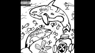 SANDY SOZE - SHAMU