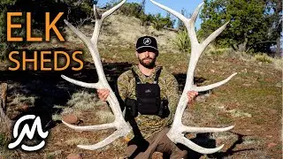 DIGGING UP ELK SHEDS IN THE DESERT | Solo Backpacking