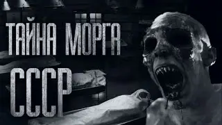 THE MYSTERY OF THE USSR MORGUAL    Scary stories from the Undertaker  Bedtime stories  Horror s