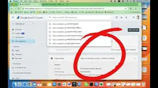 Page is not indexed: Crawled - currently not indexed