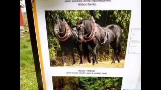 V&Iacute;SKY - NAUČN&Aacute; STEZKA P&Iacute;SEČN&Aacute;