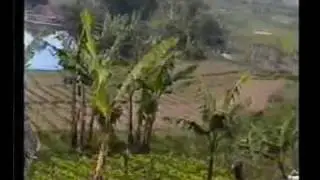 Dedy Krisna - Ulah Ceurik