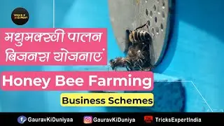 Honey Bee Farming Business Schemes - मधुमक्खी पालन एवं उत्पादन बिज़नस योजनाएं