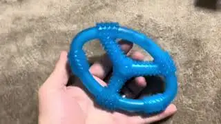 Do Dogs Like It? Size, Design, and Review of Nylabone Dog Chew Toy