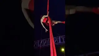 🎪 Amazing Aerial Stunts! Gravity Ribbon at the Circus! | Garden Bros Extravaganza 🌟