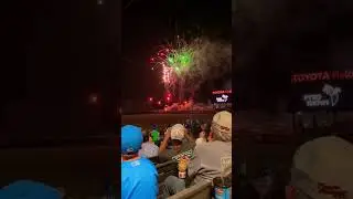 FW⚠️ Trash Pandas Fireworks #trashpanda #fireworks