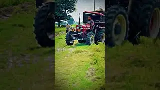 Swaraj 855 4Wd #farmer #tractor #kisan #swaraj #viral #shorts