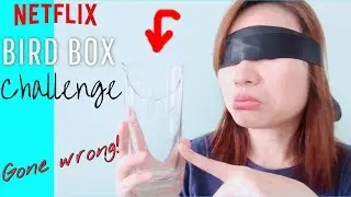 BIRD BOX CHALLENGE | REPLYING MESSAGE BLINDFOLDED | A CHALLENGE GONE WRONG