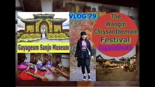 Part2: Wangin Chrysanthemum Festival + Gayageum Sanjo Museum | Yeongam ❤TimotHea J. Higgins