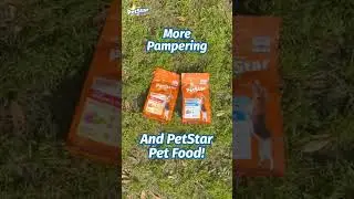 Every cutie has got eyes stuck on their favourite PetStar Pet Food! | Petstar