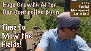 Time to Mow the Fields | Huge Growth After Our Controlled Burn | Habitat Management 