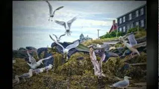 Art Painting on the Island of Monhegan Island Maine-Plein Air Painting workshops