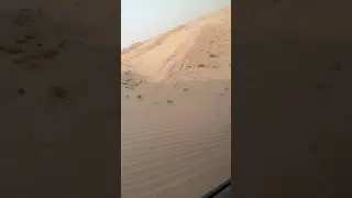 Dubai Sand Bashing 🏜️🔥 Must-do list top three #travel #dubaifun  #extremetravel