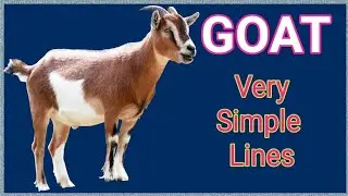 Few Lines on GOAT | Essay on Goat | Chaandu's World