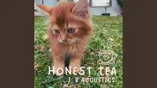 Honest Tea