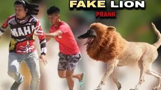 FAKE LION PART2 
