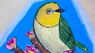 #shorts #timelapse #oilpastel #drawing #sketch of a #bird