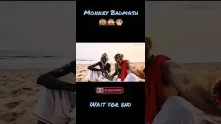 Make a viral ai monkey vlogger/blogger videos | ai monkey vlogs | #aimonkeyvlog #monkey #ai #vlogger