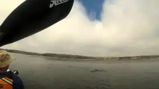 Drakes Bay